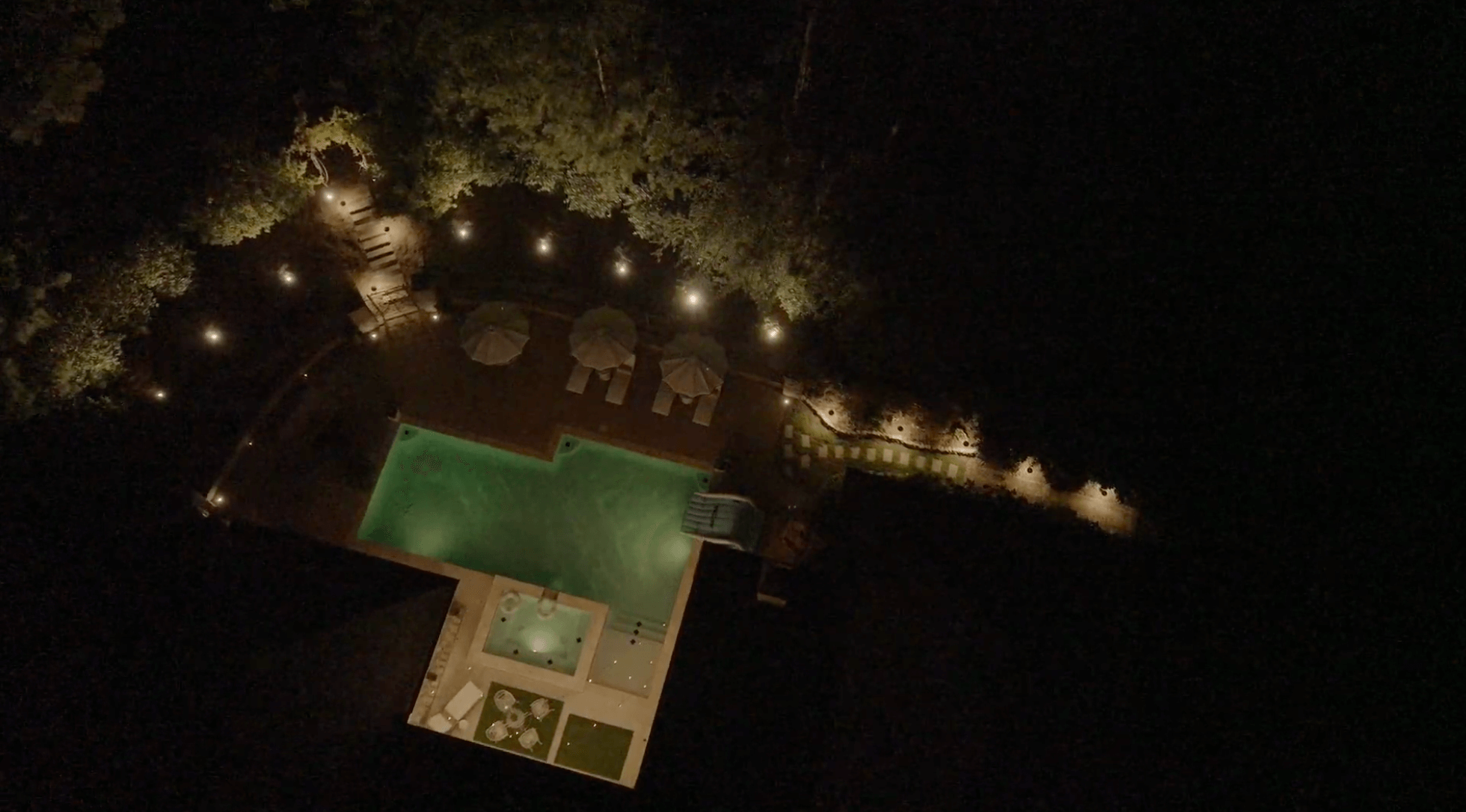 compressed wilhite back